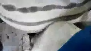 حشّاش الفتحات العلني: رجل ينك حافلة في الشارع