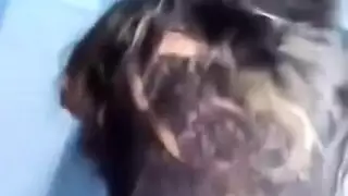 تسريب أوgy: نيك جماعي لعاهرة عراقية