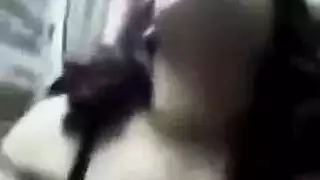 إيلاج مزدوج