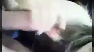 أثداء لارا طماش الكبيرة و مؤخرتها المستديرة في حفلة نيك عنيفة