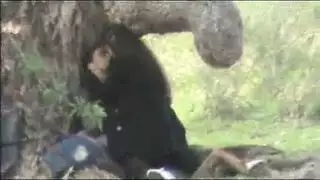 عرب ينيكون في الشارع: سكس علني مع بنات الجامعة العاهرات