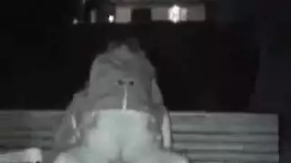 حديقة الكورية المشجع