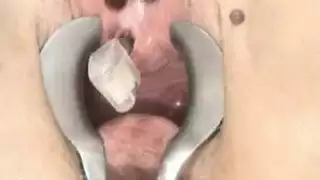 مضيفة منظف سويسري