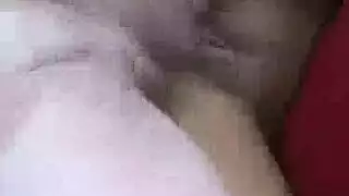 مشاهد قضيب حيوان مع مؤديات نساء مثيرة