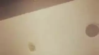 جناح رئاسي: حركات قوة إباحية