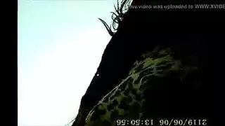 فتحة شرج فتاة تمط بقضيب كبير