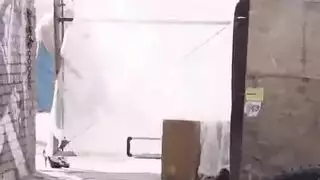 الكلاب الثريات يتم ملء مهبلها بقضيب سميك، وليس فيلم