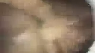 خشب الأبنوس الجنس الشرجي يركب مبلل