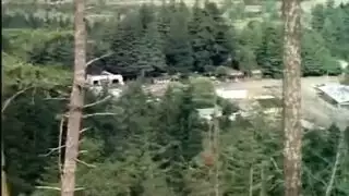 مشاهد نيك في الغابة والنهر وكل مكان