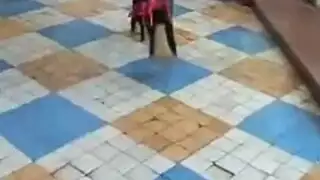 أظافر طويلة البلغارية