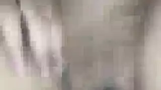 نجاح كبير الترويل الهرة الكبيرة