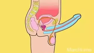 جنس جماعي للرعاية: قضيبه الإباحي يدمر ثلاث عقول