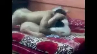 فياجرا إيمانه تتناك وتصويت والورد ينكره كاما