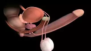 ينيك جارتها لوحدهم