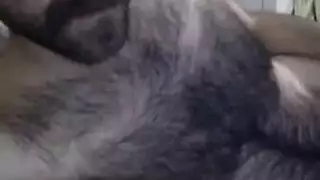 شقراء تُضاجع من رئيسها الملتحي في فيلم إباحي مكتبي مثير