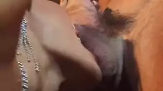 ثنائي جنسي في المطبخ: أميلمفان وقضيب كبير واحد